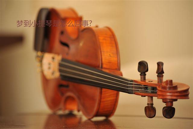 梦到小提琴是怎么回事?