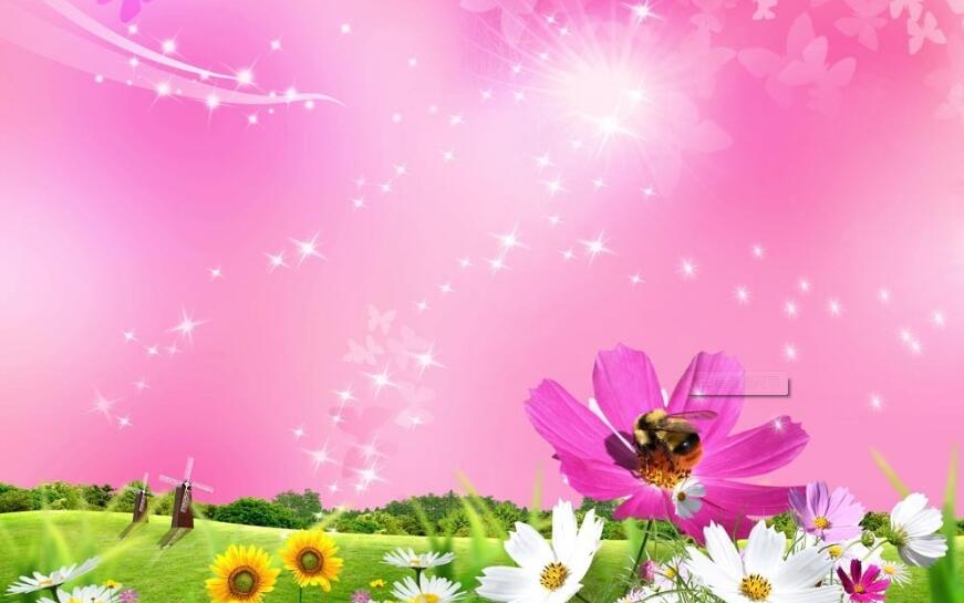 向日葵星星点点蜜蜂梦幻图片展示大全